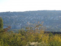 /album/a1026-gabor-aron-koz-12-/dscf1834-jpg/