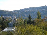 /album/a1026-gabor-aron-koz-12-/dscf1840-jpg/