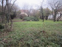 /album/a1026-gabor-aron-koz-12-/img-1211-jpg/